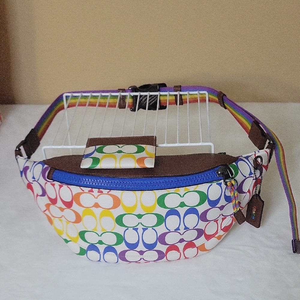 #4. Coach Multicolor Signature Belt Bag